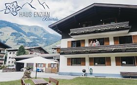 Haus Enzian in Rauris